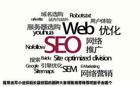 我想去写小说投稿长篇校园的那种大家帮我推荐推荐吧新手去哪个