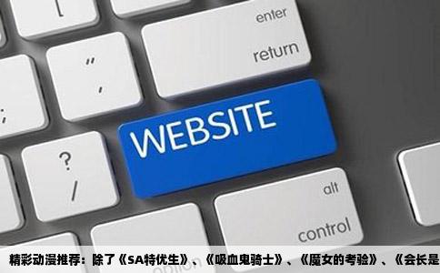 精彩动漫推荐：除了《SA特优生》、《吸血鬼骑士》、《魔女的考验》、《会长是女仆》还有哪些佳作？