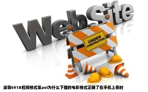 波导S918视频格式是avi为什么下载的电影格式正确了在手机上看时