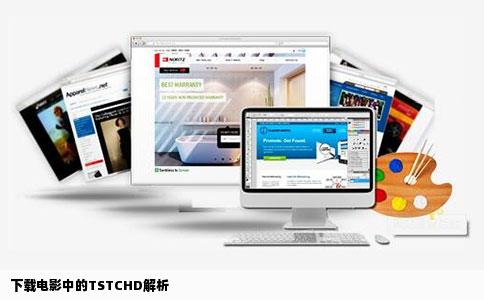 下载电影中的TSTCHD解析