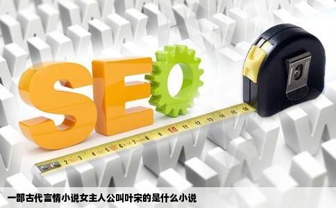 一部古代言情小说女主人公叫叶宋的是什么小说