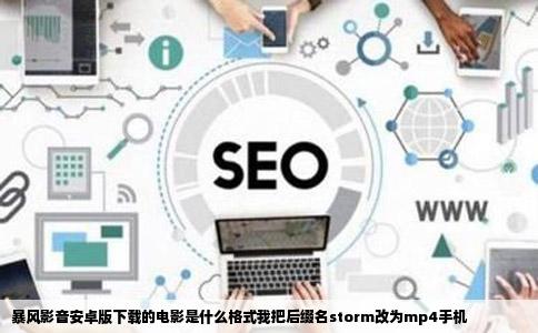 暴风影音安卓版下载的电影是什么格式我把后缀名storm改为mp4手机