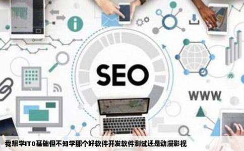 我想学IT0基础但不知学那个好软件开发软件测试还是动漫影视
