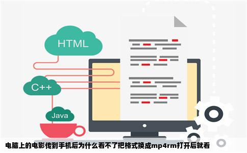 电脑上的电影传到手机后为什么看不了把格式换成mp4rm打开后就看