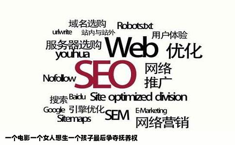 一个电影一个女人想生一个孩子最后争夺抚养权