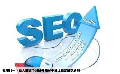 我想问一下新人去哪个网站开始写小说比较容易学到啊