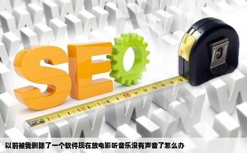 以前被我删除了一个软件现在放电影听音乐没有声音了怎么办