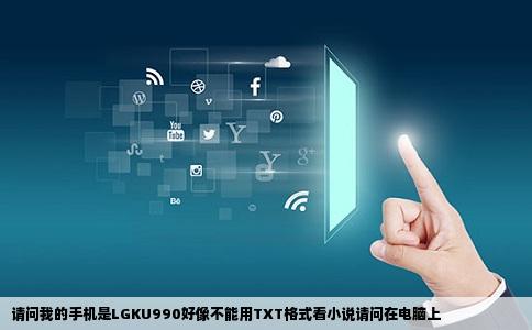 请问我的手机是LGKU990好像不能用TXT格式看小说请问在电脑上