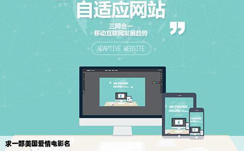 求一部美国爱情电影名