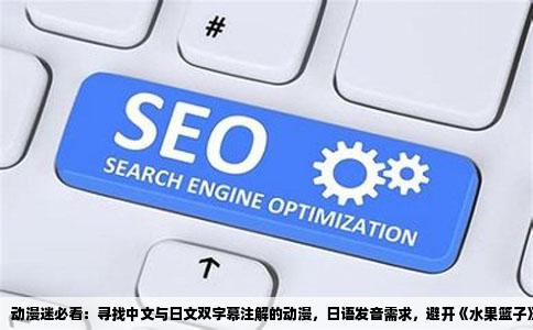 动漫迷必看：寻找中文与日文双字幕注解的动漫，日语发音需求，避开《水果篮子》