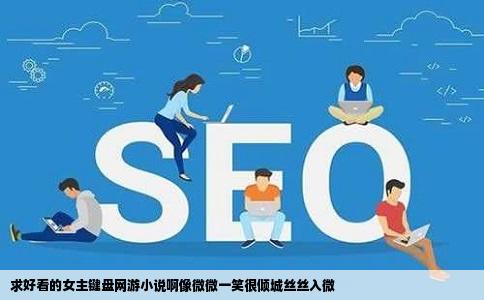 求好看的女主键盘网游小说啊像微微一笑很倾城丝丝入微