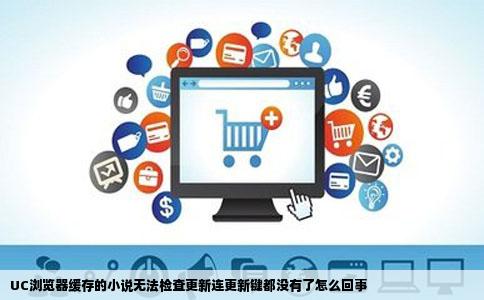 UC浏览器缓存的小说无法检查更新连更新键都没有了怎么回事