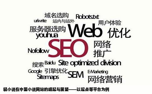 轻小说在中国小说网站的崛起与展望——以起点等平台为例