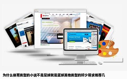 为什么体育类型的小说不是足球就是篮球其他类型的好少啊求推荐几