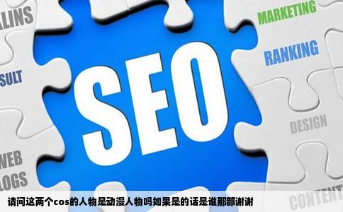 请问这两个cos的人物是动漫人物吗如果是的话是谁那部谢谢