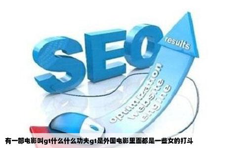 有一部电影叫gt什么什么功夫gt是外国电影里面都是一些女的打斗