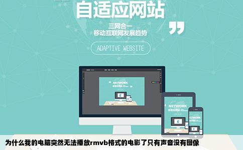 为什么我的电脑突然无法播放rmvb格式的电影了只有声音没有图像