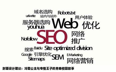 封面设计建议：冷酷公主与专情王子的青春校园故事