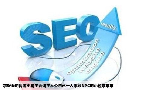 求好看的网游小说主要讲主人公自己一人率领NPC的小说求求求