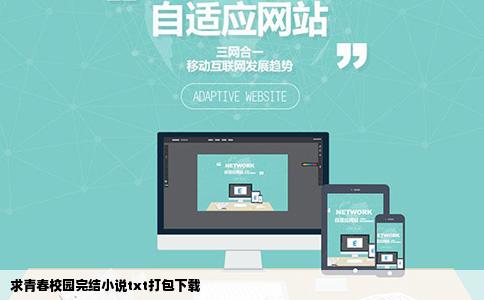 求青春校园完结小说txt打包下载