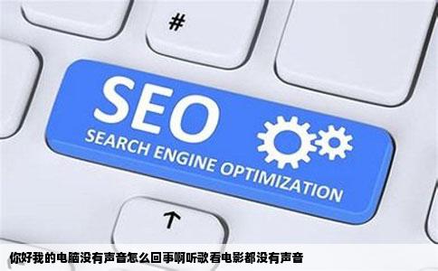 你好我的电脑没有声音怎么回事啊听歌看电影都没有声音