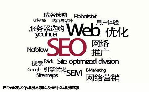 白色头发这个动漫人物以及是什么动漫跪求