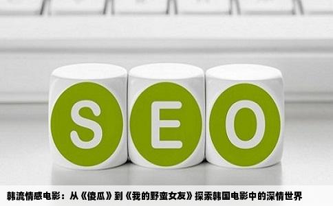韩流情感电影：从《傻瓜》到《我的野蛮女友》探索韩国电影中的深情世界