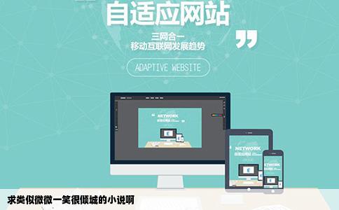 求类似微微一笑很倾城的小说啊