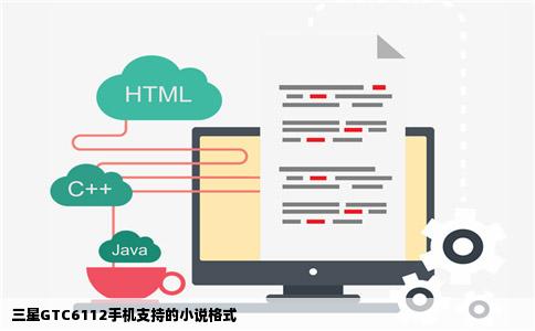 三星GTC6112手机支持的小说格式