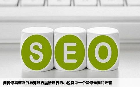 两种修真道路的后穿越去魔法世界的小说其中一个是修元婴的还有