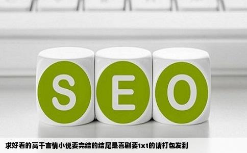 求好看的高干言情小说要完结的结尾是喜剧要txt的请打包发到