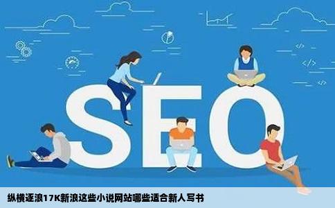 纵横逐浪17K新浪这些小说网站哪些适合新人写书