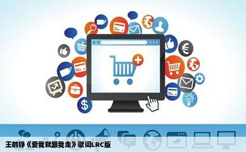 王鹤铮《爱我就跟我走》歌词LRC版