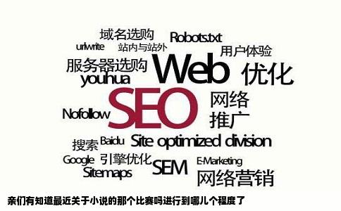 亲们有知道最近关于小说的那个比赛吗进行到哪儿个程度了